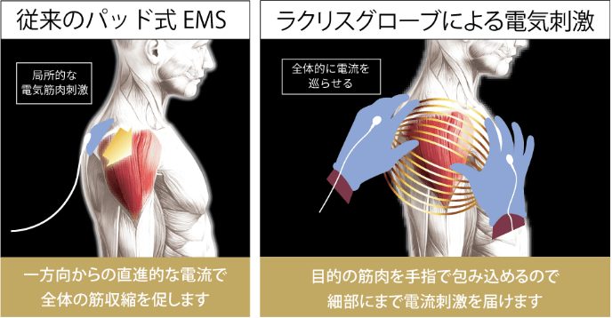 ラクリスグローブ解説図